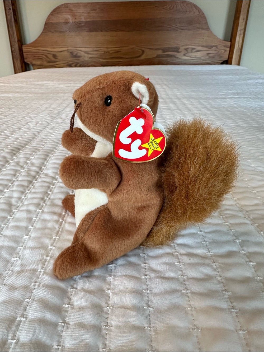 Nuts the Squirrel Beanie Baby - Picture 2 of 8